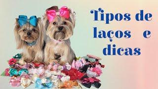 Tipos de laços Pet e dicas!