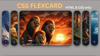 Animated CSS Flex Card using HTML & CSS only #html #css #effects #cssflex #flex #flexcards