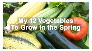 12 Vegetables to Start For Spring #homegrown  #veggiegarden