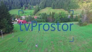 (tv)Prostor