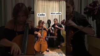 PAINT IT BLACK (from WEDNESDAY) on the CELLO and MINI CELLO