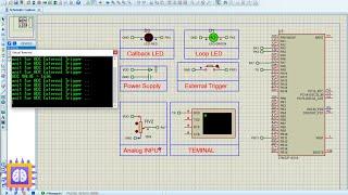 Advanced Analog-to-Digital Conversion Techniques : STM32 ADC External Trigger