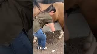 Shocking!!!!! What are they doing? Horse & Girl #shorts