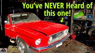 Mustang You've NEVER Heard BEFORE!! - Police car, 428 cars, 1967 Mustang Fastback