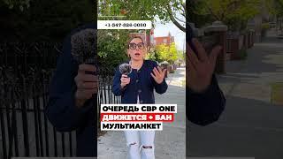 Очередь CBP ONE пришла в движение – БАН мультианкетчиков, новости с границы Мексика США #cbpone #сша