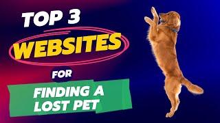 Best websites for finding a lost pet