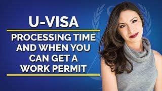 U-Visa processing time and when you can get a work permit