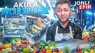 AKULA TUTIB SOTAMIZ | OLD MARKET SIMULATOR | UZLIDER