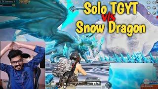 Tips & Tricks to Kill Snow Dragon in Solo Mode