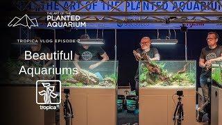 Aquascapes from The Art of The Planted Aquarium Contest