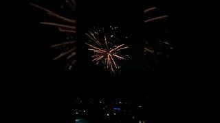 Happy new year #2024 #newyear #city #nightlife #shortvideo #shorts