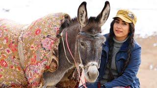   Village Girl Riding a Donkey | Collecting Firewood for Rustic Cooking | Episode 0056