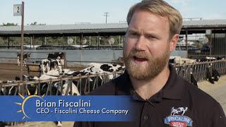 Say Cheese: How Cheddar Cheese is Made in California at Fiscalini Farms