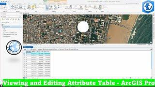 Viewing & Editing Attribute table in ArcGIS Pro | Tutorial 5