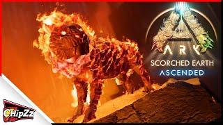 Can we Tame the Pyromane?! -  Scorched Earth Ascended
