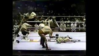 Andre The Giant, Jimmy Snuka and Tony Garea vs Afa, Sika and Rene Goulet