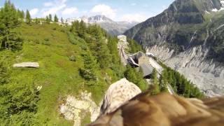 Flying eagle point of view #1