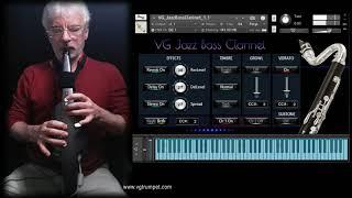 Roland Aerophone and Jazz Bass Clarinet NI Kontakt sound library. Woodwind and brass nki, wav, vst.