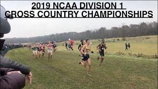 2019 NCAA Division 1 Cross Country Championships Vlog!