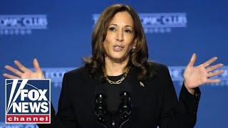 Border official condemns Harris' new border position: 'That's lip service'