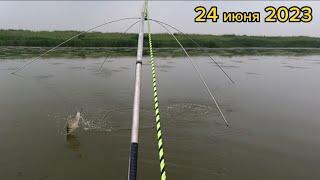 Рыбалка на паук с лодки. Наловил карасей #fishing #рыбалка #낚시