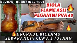 Bisa ga sih 1 biola buat pemula sampe jago?? Wajib Nonton! PEGANINI PVA 40 cuma 2.3 Jt (REAL FLAME)