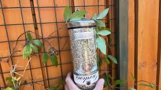 DIY bird feeders  home made bird feeder