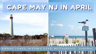 Cape May Off Season Vlog | Birding in Cape May, Hikes, Lighthouses, Historic Sites, and more!