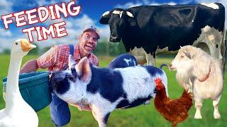 Feeding The Farm Animals with You!  (Educational Farm Video For Kids)