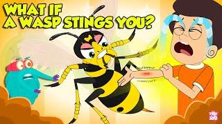 Are Wasp Stings Dangerous? | What if a Wasp Stings You? | How to Treat a Wasp Sting? | Dr. Binocs