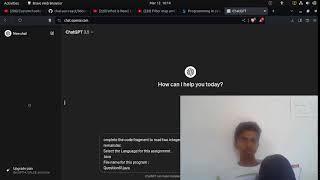 Coding Beetle Live Stream