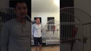 Cage Cleaning Made Easy