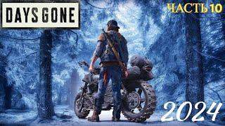 Days Gone ( Жизнь После ) в 2024 году -  Прохождение 10