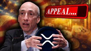 Ripple XRP Update: Is the SEC Preparing a Last-Ditch Appeal?