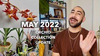 May 2022 Orchid Collection Update