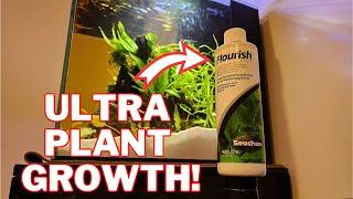 Seachem Flourish Review (GROW PLANTS FAST!)