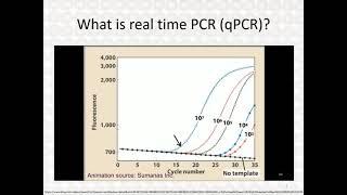 Real Time PCR - Part 3