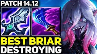 RANK 1 BEST BRIAR SHOWS HOW TO DESTROY! (PATCH 14.12) | League of Legends