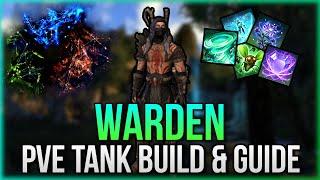️️ ESO - PvE Warden Tank Build & Guide | Sets, Skills, CP etc. | Lost Depths - Update 35