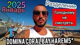 ХИТРЫЙ ХОД ПЛАТИТЬ? РОЖДЕСТВЕНСКИЙ ужин Domina Coral Bay Harem Шарм Эль Шейх Шарм зимой