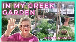 Spring Time Update In My Greek Garden | #greekisland #smallyoutuber #gardenplants