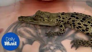 Australian man has baths with pet crocodile - Daily Mail