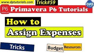 How To Assign Expenses In Primavera P6 || Assigning Expenses || Primavera Tricks