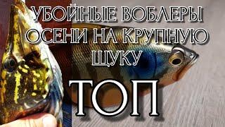 ТОП 4 ВОБЛЕРА НА КРУПНУЮ ЩУКУ | SPRO IRIS FATBOY | MEGABASS I-Jack | Vatalion FISHING