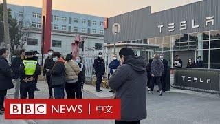 特斯拉三月內兩度降價 中國車主怒衝門市抗議－ BBC News 中文