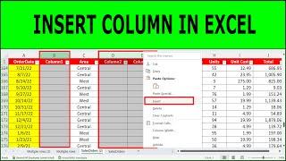 How to Insert Column in Excel | How to Insert Multiple Columns in Excel