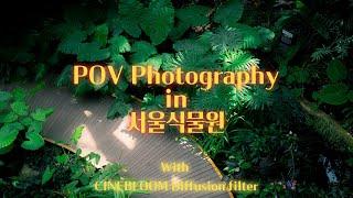 POV Photography | 서울식물원 | LUMIX S5