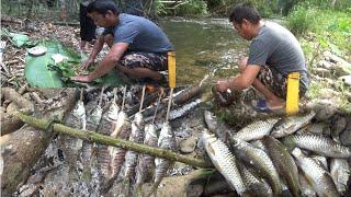 Hunting and Fishing In The Mountains | Catch & Cook | Yos hav zoov hav dej noj ntses toj siab