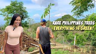 Rainy Season Has Begun PLANTITO TIME - Off Grid Farming For the Future