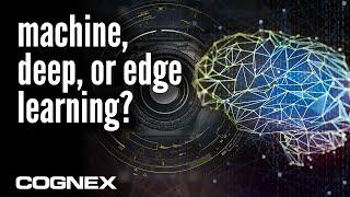 Machine, Deep, or Edge Learning? What’s the difference? | Cognex AI for Factory Automation